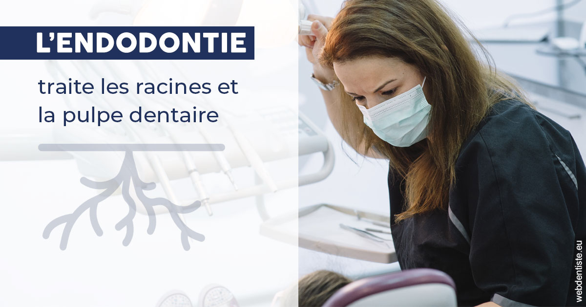 https://dr-jan-patrick.chirurgiens-dentistes.fr/L'endodontie 1