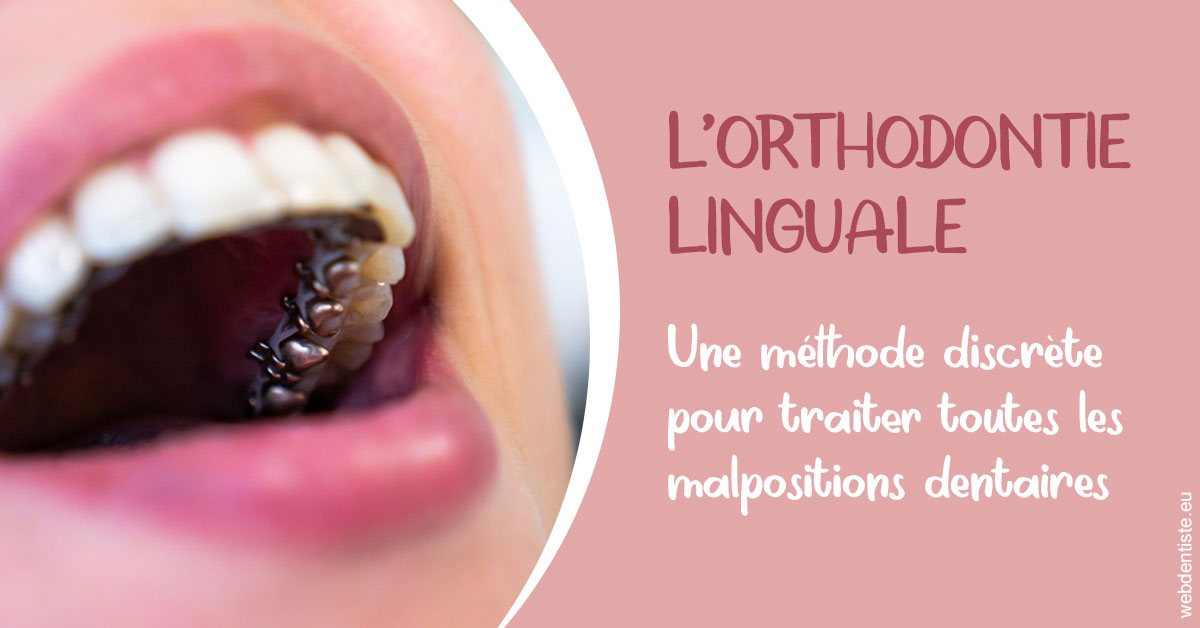 https://dr-jan-patrick.chirurgiens-dentistes.fr/L'orthodontie linguale 2