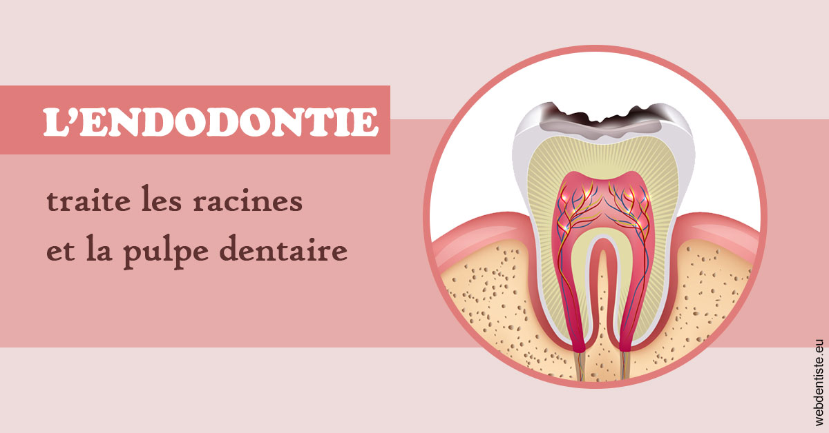 https://dr-jan-patrick.chirurgiens-dentistes.fr/L'endodontie 2