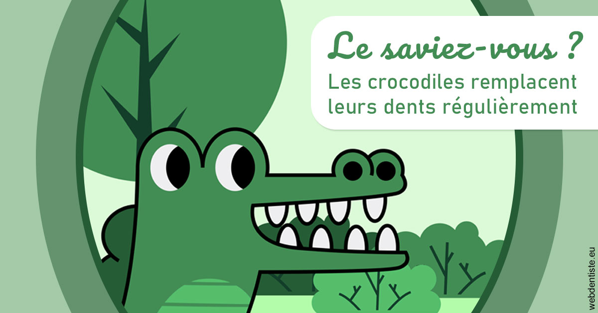 https://dr-jan-patrick.chirurgiens-dentistes.fr/Crocodiles 2