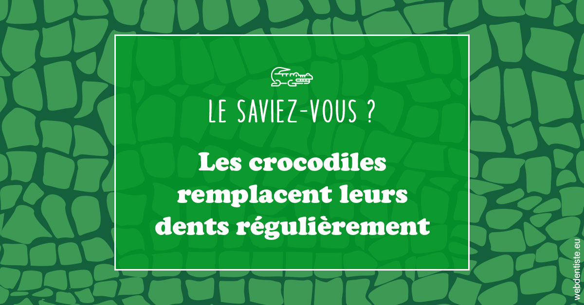 https://dr-jan-patrick.chirurgiens-dentistes.fr/Crocodiles 1
